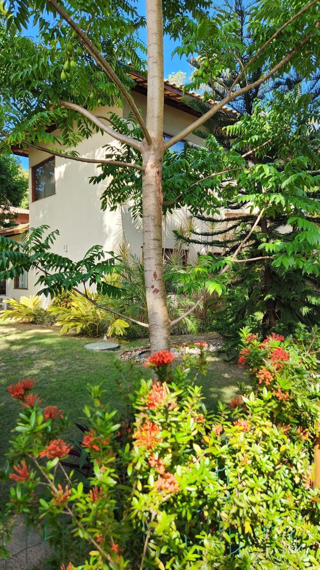 Casa Em Do Refugio Luxo E Natureza Сasa de vacaciones Praia do Forte